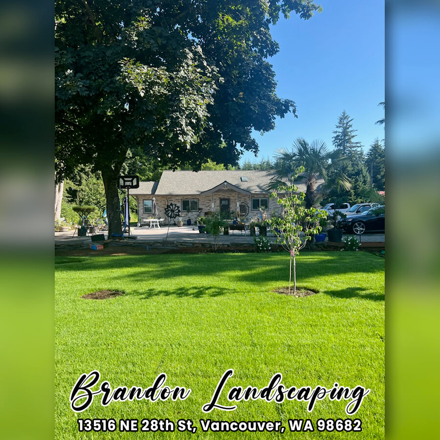 Brandon Landscaping